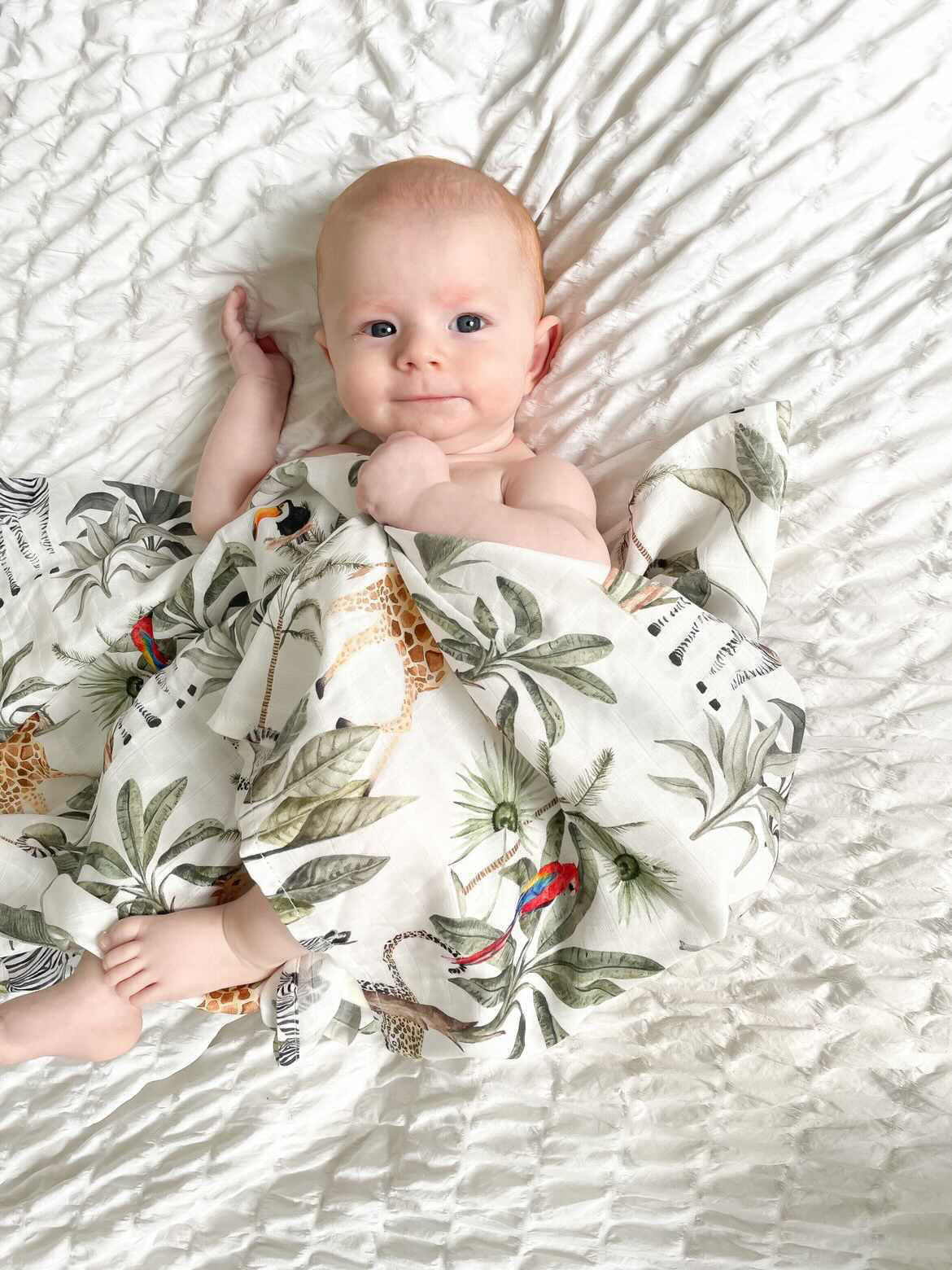 Organic Bamboo Muslin Swaddle Blanket- Safari - Main Image